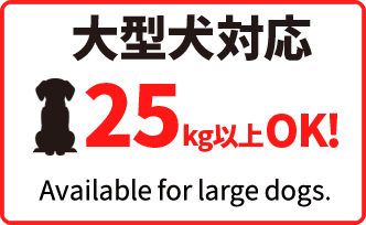 大型犬対応 ワンちゃんと楽しめる! Large Breeds friendly.